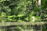 DSC0106