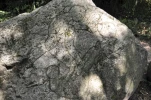 DSC0057