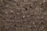 small00014
