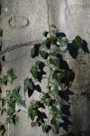 DSC0704