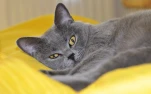 DSC0022.16-10