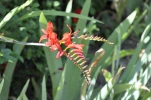 DSC0110