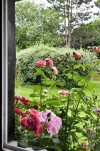 DSC0023