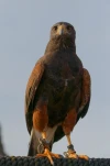 B0029209