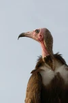B0029271