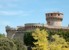 Volterra