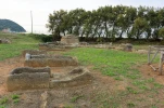DSC 3119