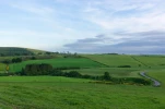 DSC 1915