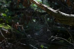 B0029925