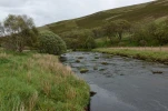 DSC 1658