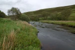 DSC 1657