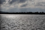 DSC0035