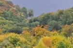 DSC0015