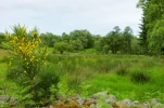 DSC 1979