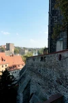 DSC 2419
