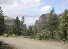 Gran Canaria