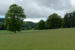 DSC 1683