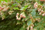 DSC 1750