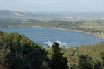 DSC3271
