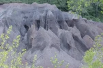 DSC3276
